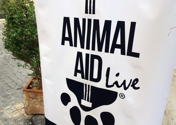 Animal Live Aid © ANSA