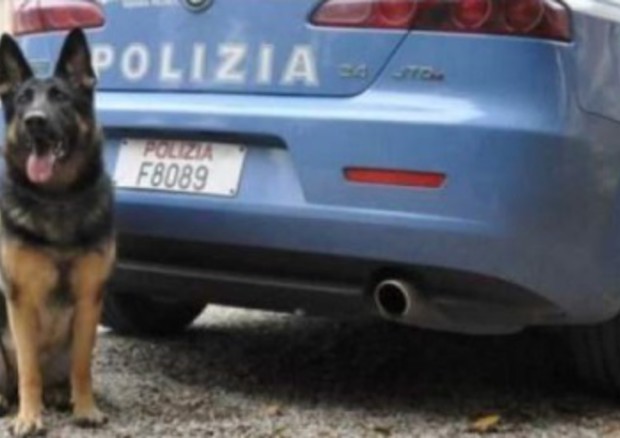 Warren, cane poliziotto © Ansa
