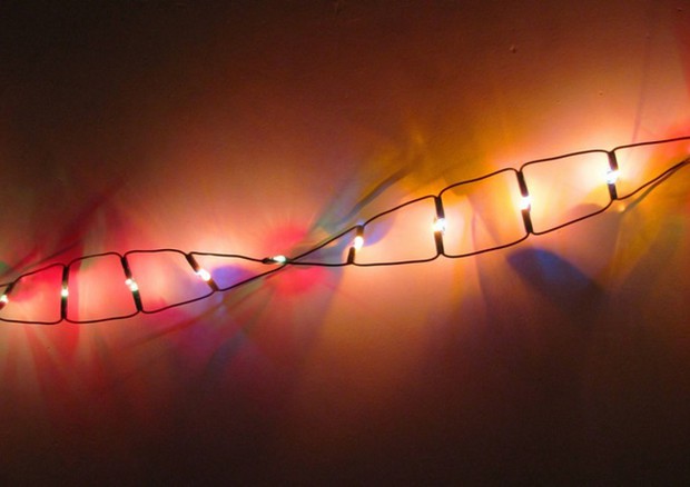 Crispr assomiglia a ‘forbici molecolari’ che permettono di ‘riscrivere’ intere sequenze di Dna (fonte Stuart Caie, Flickr) © Ansa