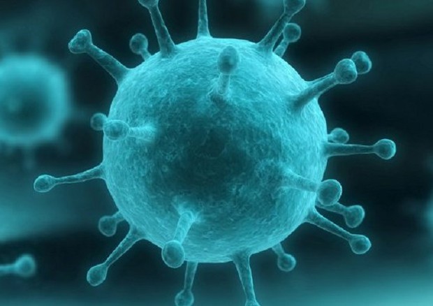La versione del virus dell'influenza Spagnola ricostruita in laboratorio (fonte: Nova Scientia) © Ansa
