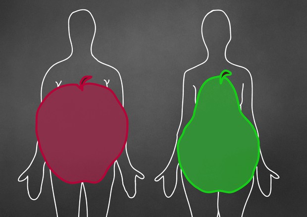 Forma a mela, scoperti geni che portano il grasso su addome © Ansa