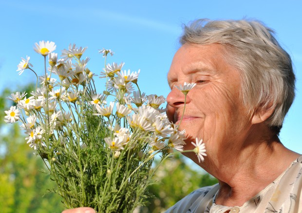 Avere un buon olfatto potrebbe aiutare a vivere di più © Ansa