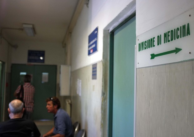 Denuncia di invasione di zanzare in ospedale Napoli © ANSA