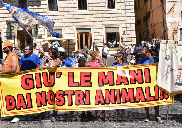 Circhi protestano per disegno di legge che vieta animali © ANSA