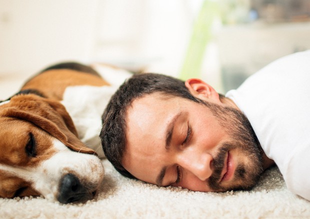 Dormire col cane fa riposare meglio, più conforto e sicurezza © Ansa