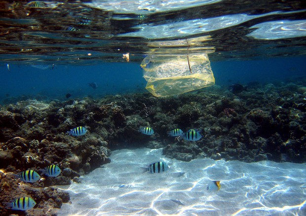 Brasile aderisce a campagna Onu contro plastica in mare © ANSA