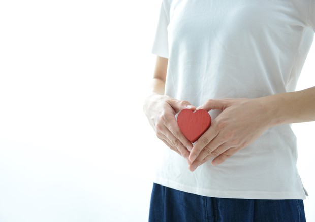 Età prima mestruazione e menopausa legate a rischio cuore © Ansa
