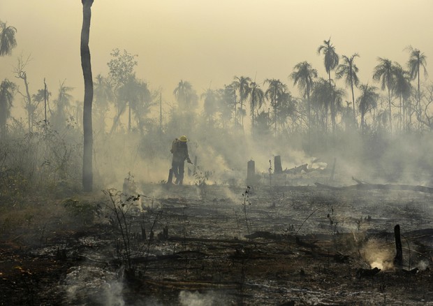 Foresta amazzonica bruciata © AP
