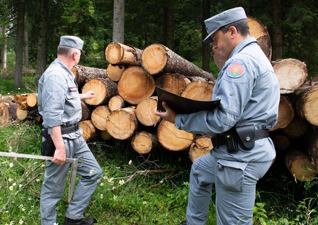 Carabinieri forestali © ANSA