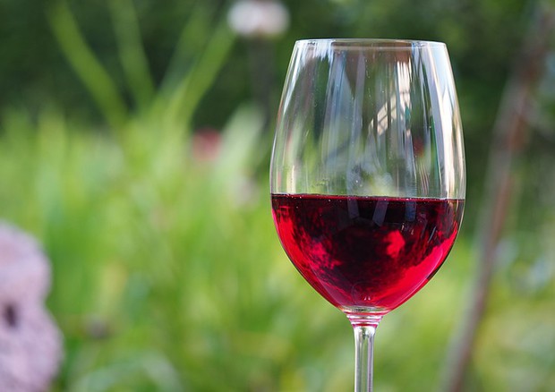 In Svizzera il vino piace berlo ma anche produrlo (fonte: Pixabay) © Ansa