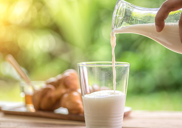 A Fieragricola oggi e' il Milk Day, focus prezzi e zootecnia © Ansa