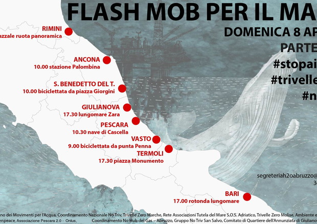 Trivelle nel mare Adriatico, 8 aprile flash-mob in 5 regioni © ANSA