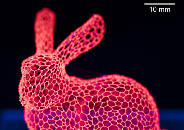 Un'impalcatura a rete a forma di coniglio fatta con la stampante 3D che utilizza come inchiostro un particolare zucchero chiamato isomalto (fonte: Troy Comi) © Ansa