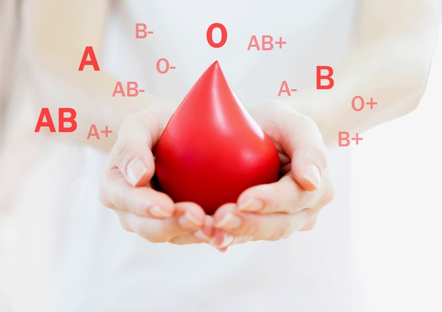 Il 14 giugno la Giornata del donatore di sangue © Ansa