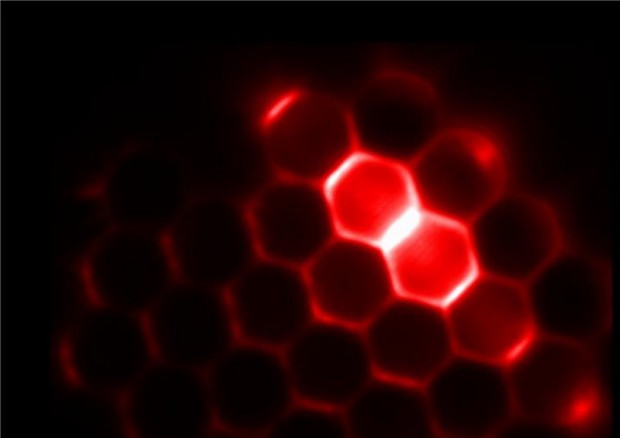 Luce emessa da laser piccoli come globuli rossi, assemblati in celle bidimensionali (fonte: Angel Fernandez-Bravo) © Ansa