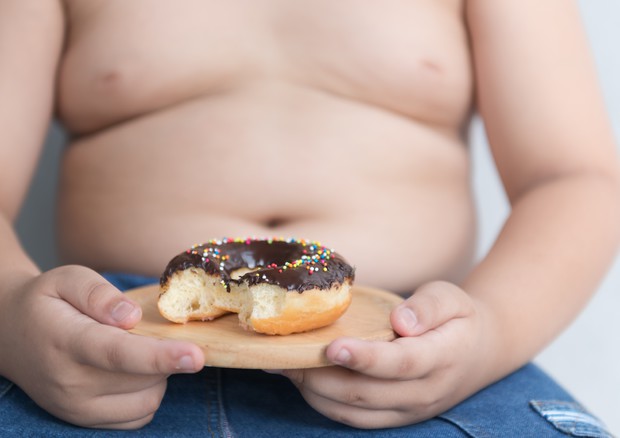 Obesità, nei ragazzi mette a rischio cuore e fegato © Ansa