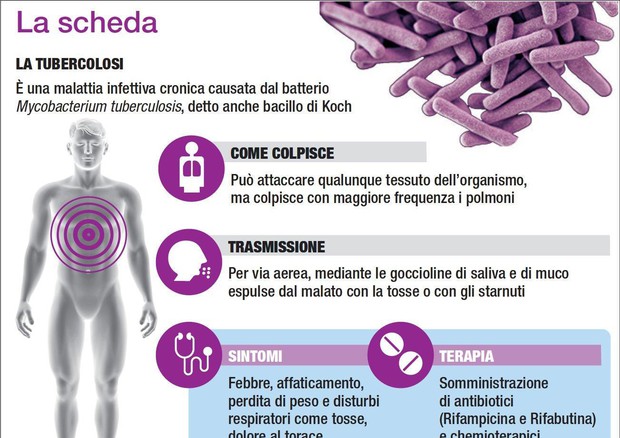 Un'infografica sulla tubercolosi © ANSA