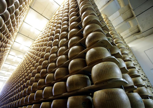 Nasce Parmareggio-Agriform, leader formaggi Dop © ANSA