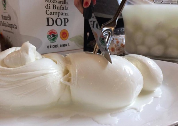 Mozzarella bufala Dop-Deliveroo, insieme promozione e tutela © ANSA