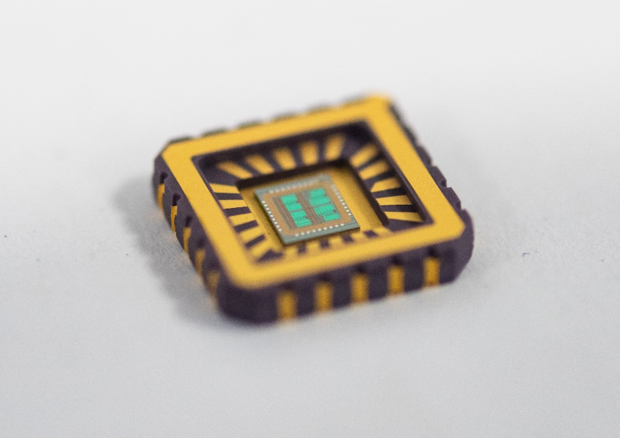 Il primo chip che riproduce il comportamento di un neurone (fonte:  University of Bath) © Ansa