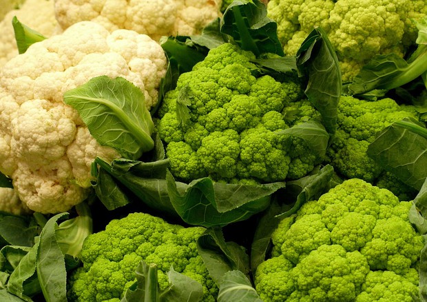 Prezzi delle verdure in controtendenza, aumentano del 6,7% (fonte: Pixabay) © Ansa
