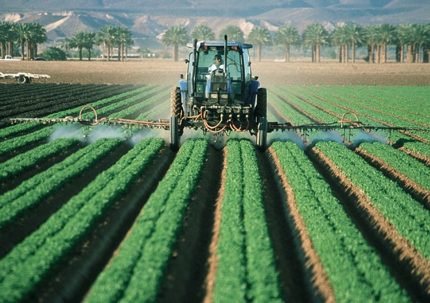 Agricoltura: il nuovo biotech sotto lente Commissione Ue (fonte: Pixabay) © Ansa