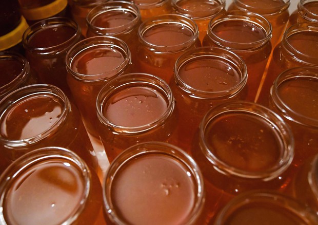 Sequestrati 36 quintali miele, etichette non a norma © ANSA