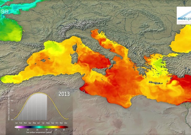 Dati relativi alle temperature di superficie nell’area del Mediterraneo raccolti dal satellite Sentinel 3 (fonte: Esa)  © Ansa