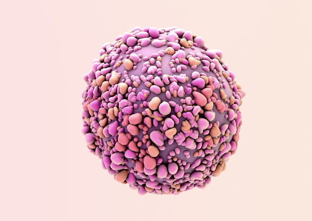 Una cellula di tumore al seno © Ansa