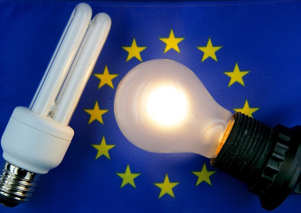 L'Europa raggiunge quota 2 miliardi di lampadine riciclate © ANSA