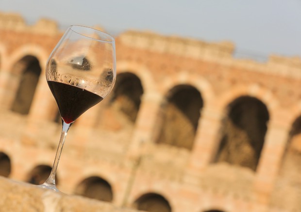Vino: a Verona 'Anteprima Amarone', focus su annata 2016 © ANSA