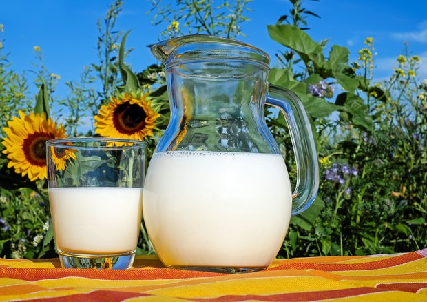 Latte, in Piemonte nuovo prodotto più digeribile (fonte: Pixabay) © Ansa