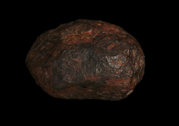 Il meteorite ritrovato nel 1951 vicino alla città australiana di Wedderburn (fonte: Rodney Start, Museums Victoria, CC BY) © Ansa