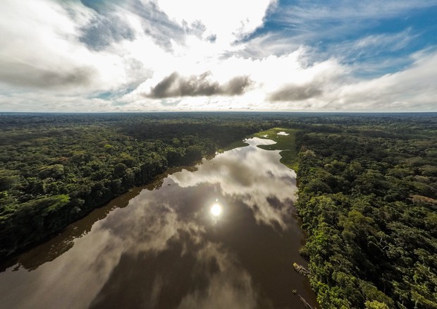 (Day's Edge Productions-WWF US- Photograph of the Tambopata River from a drone_ Peru) © Ansa