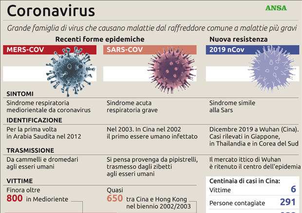 Coronavirus, le recenti forme epidemiche © ANSA