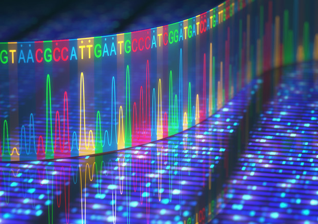 Azienda cinese BGI Group ha presentato il record al meeting Advances in Genome Biology and Technology in Florida © Ansa