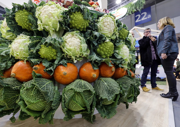 Fruit Logistica 2020 Fair opens in Berlin © EPA