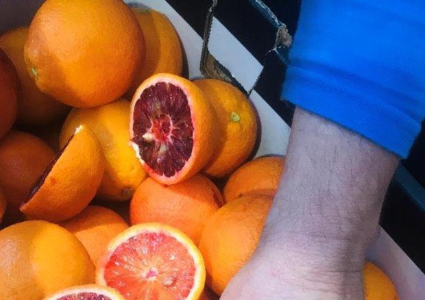 Oranfrizer, primo test arance rosse dall'Australia © ANSA
