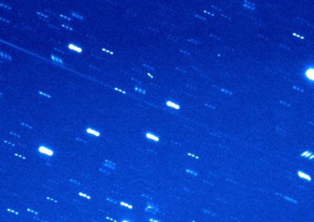 In alto a sinistra il nucleo dell’asteroide-cometa, con la lunga coda che si prolunga verso il basso (fonte: Henry H. Hsieh PSI, Jana Pittichová NASA/JPL-Caltech) © Ansa