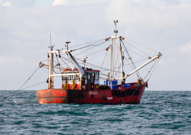 Brexit mette a rischio business milionario del tonno in Ue (ANSA)