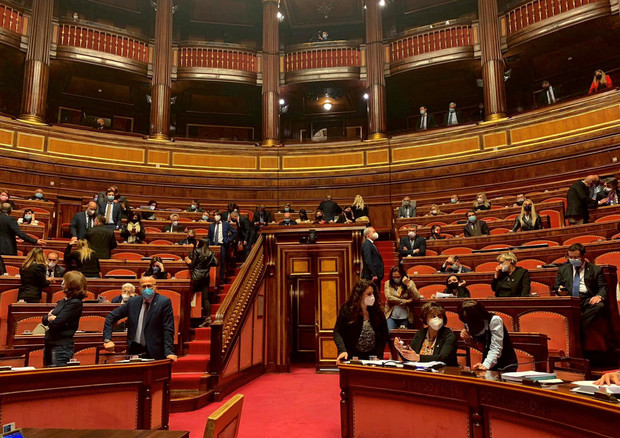 L'aula del Senato © ANSA