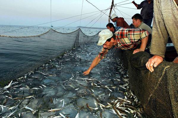 Pescatori ed esperti a bordo per studiare sicurezza con reti