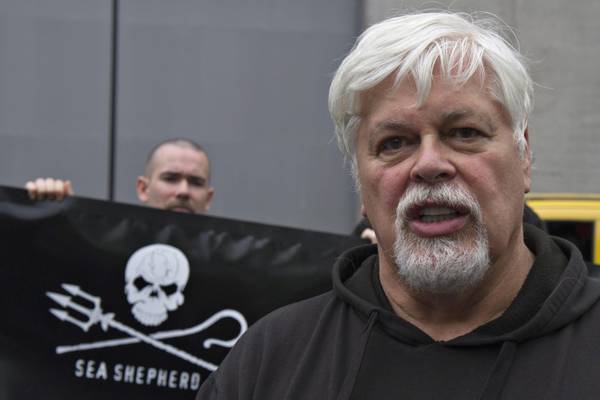 Balene: giudice Usa, attivisti Sea Shepherd sono pirati