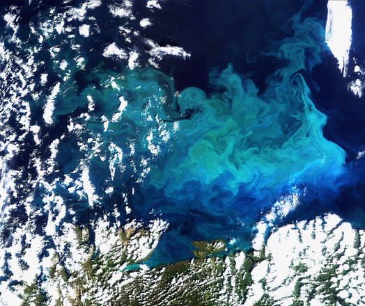 Un banco di plancton grande come la Grecia tra i ghiacci del Mare di Barents, fotografato dal satellite Envisat (fonte: ESA)