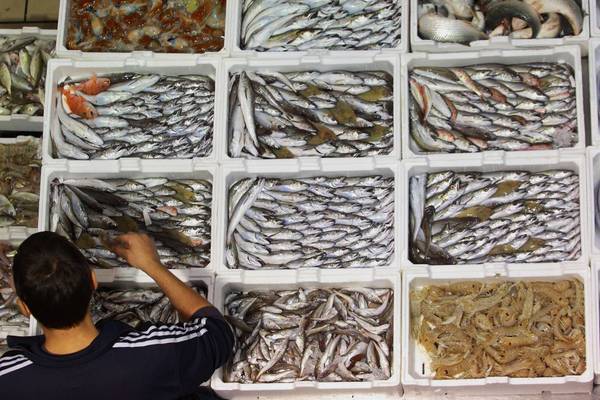 Pesca: Ue, raggiunto accordo sui fondi da 6,5 mld al settore
