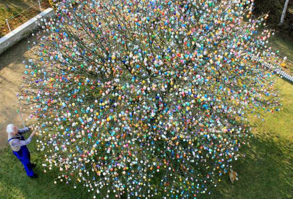 Volker Kraft, a Saalfeld, in occasione della Pasqua,  ha decorato  l'albero del suo giardino con migliaia di uova dipinte a mano