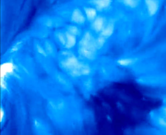 Strutture a bolla osservate per la prima volta sulla superficie del Sole (fonte: NASA/STEREO/NRL)
