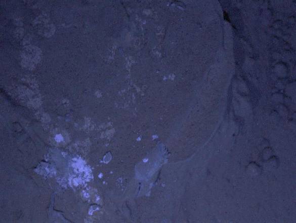 La roccia marziana illuminata da LED di luce ultravioletta (fonte: NASA/JPL-Caltech/MSSS)