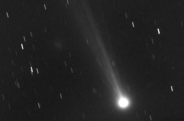 La cometa Ison fotografata dall'astrofisico Gianluca Masi il 14 novembre 2013 (fonte: Gianluca Masi, The Virtual Telescope Project)
