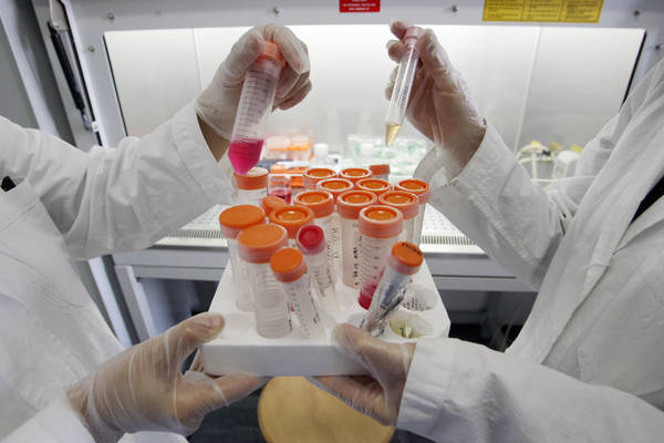 Staminali: alcune provette che contengono cellule coltivate in laboratorio, in una foto d'archivio